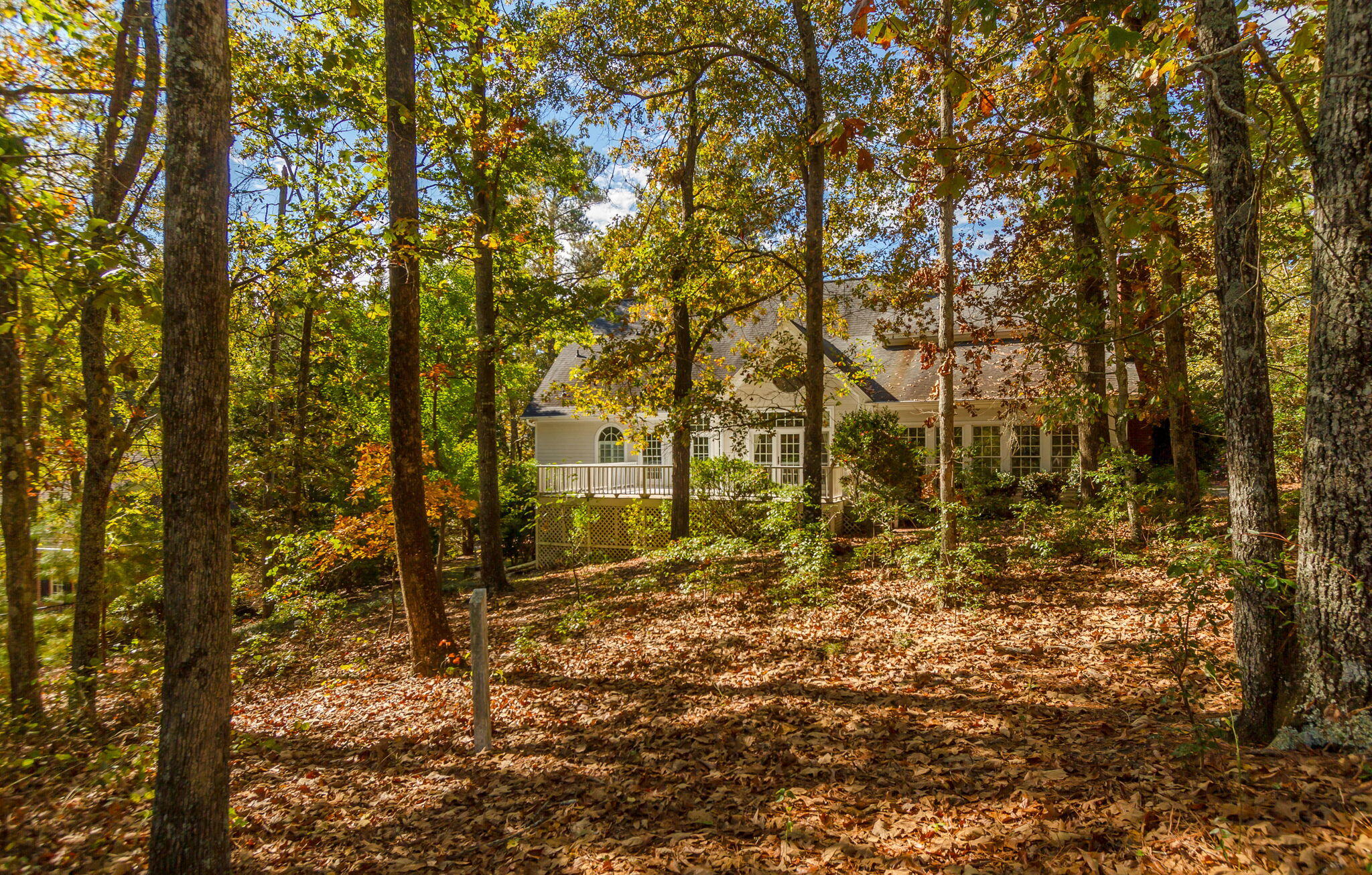 124 Sugarberry Road Aiken, SC 29803 - Photo 59 of 62