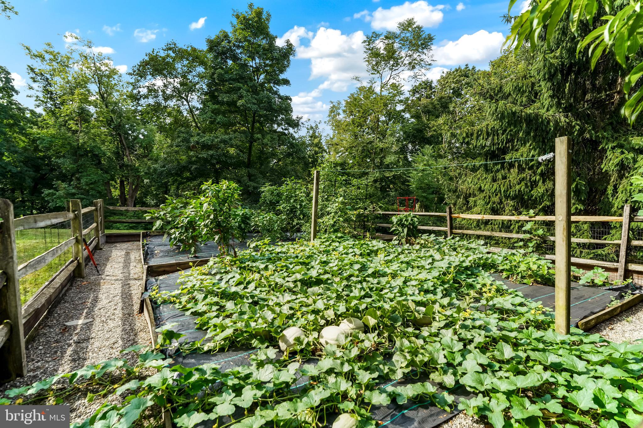 9 Atwater Road Chadds Ford, PA 19317 - Photo 4 of 54 Fenced vegetable garden