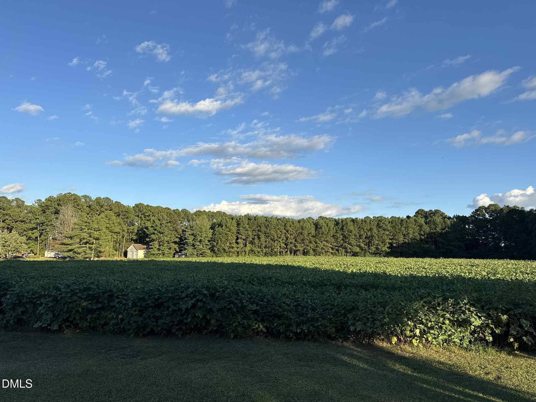 0 Nc-231 Middlesex, NC 27557 - Photo 3 of 9 a view of a golf course with a lake