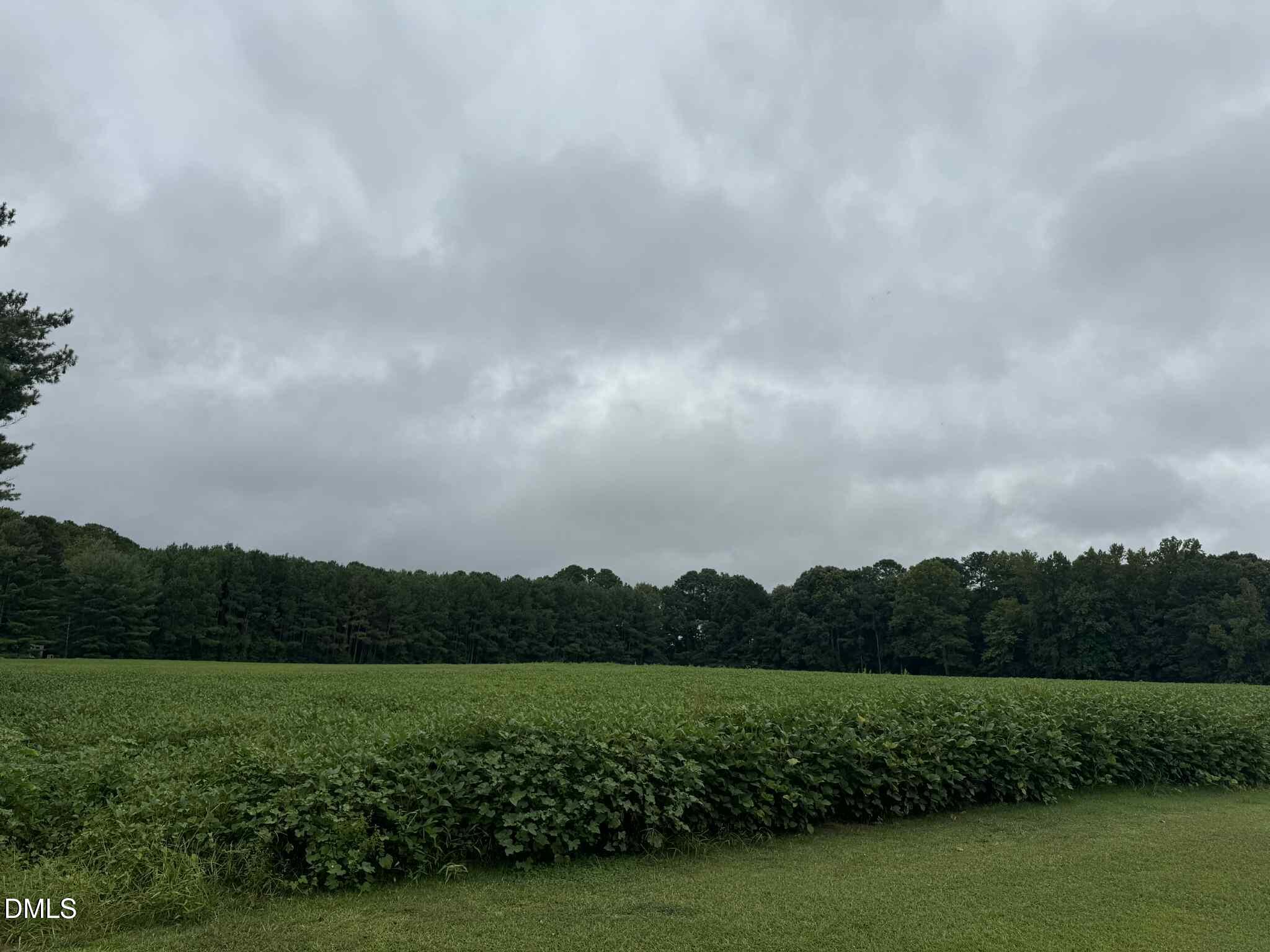 0 Nc-231 Middlesex, NC 27557 - Photo 8 of 9 a view of a golf course with a lake