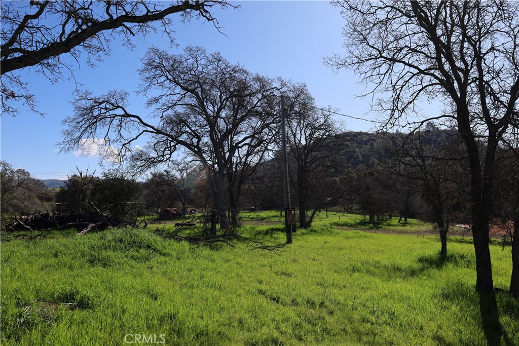 0 Douglas Road Coarsegold, CA 93614 - Photo 14 of 32