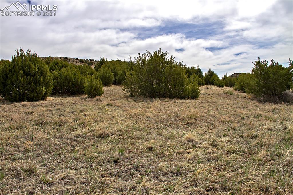 Tbd Garrett Road Beulah, CO 81023 - Photo 8 of 42 a view of a dry yard with trees in the background