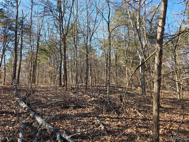 $100,000 | 8043 State Hwy B, Cedar Hill, MO 63016