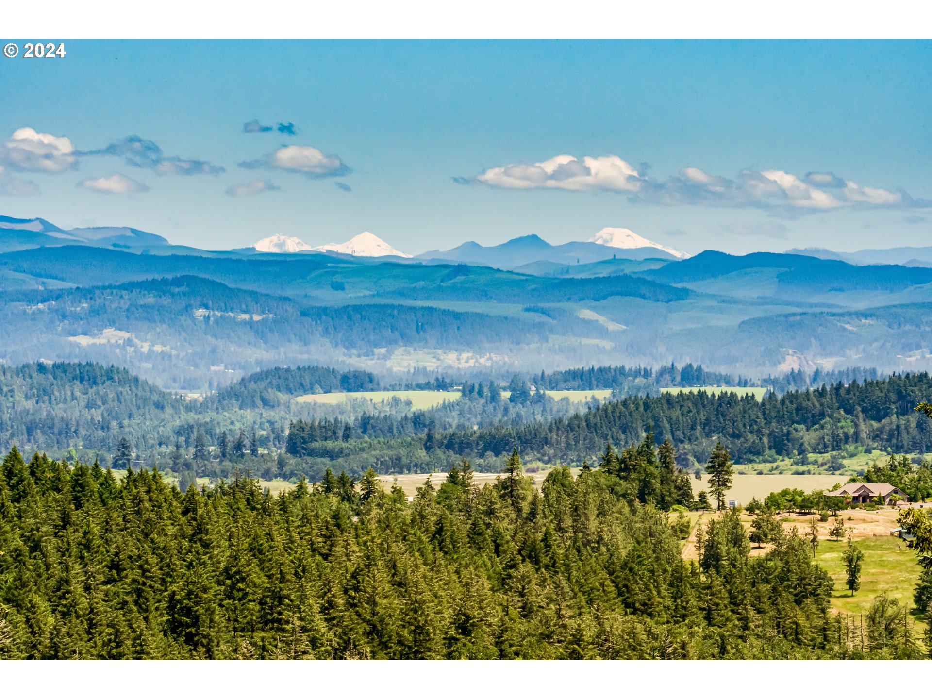 85290 Ridge Top Drive Eugene, OR 97405 - Photo 4 of 48 a view of a yard