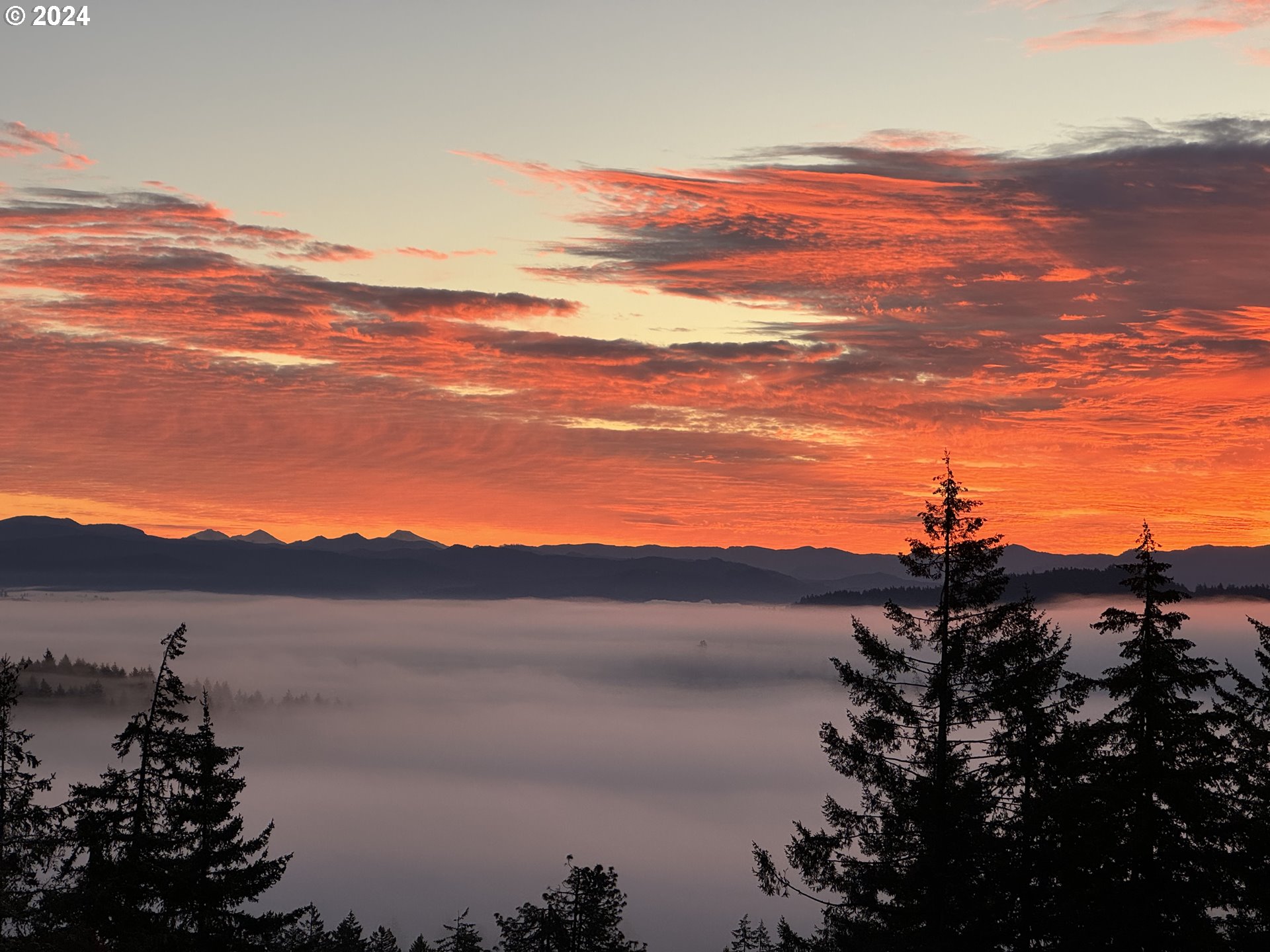 85290 Ridge Top Drive Eugene, OR 97405 - Photo 5 of 48