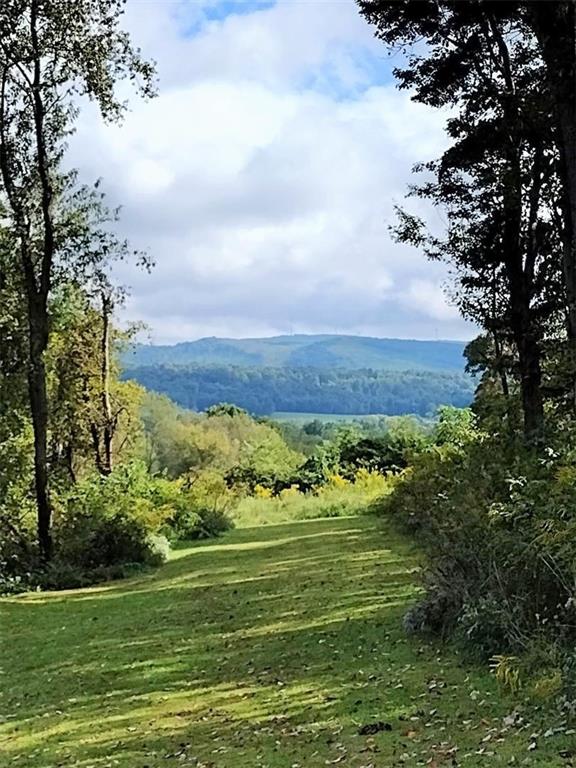 152 Dry Knob Road Smithfield, PA 15478 - Photo 14 of 22 Gallery Image 14