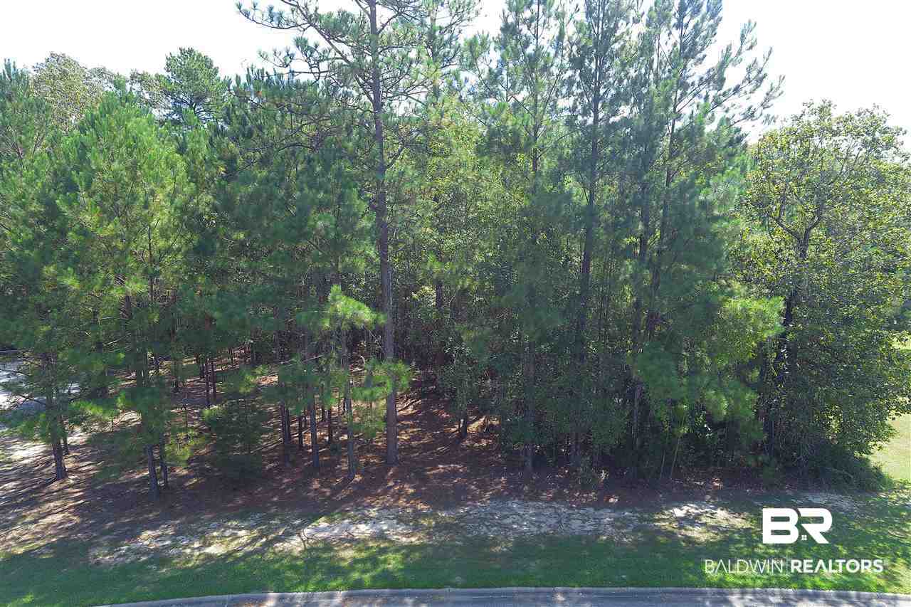 41 Juniper Creek Road Castleberry, AL 36432 - Photo 6 of 10
