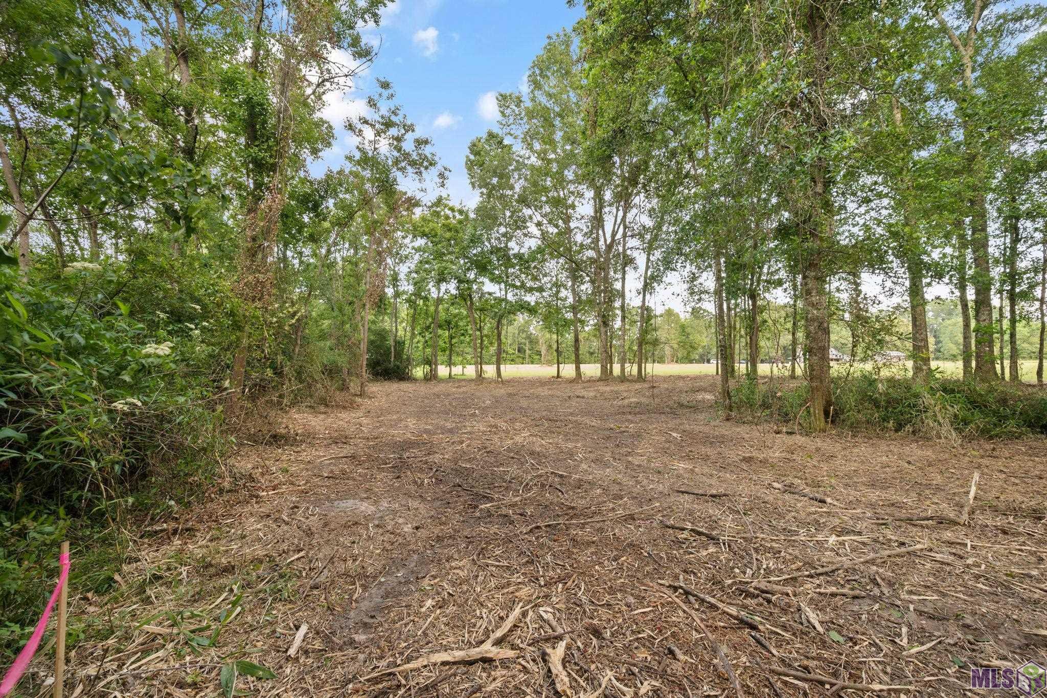 10440 Bank Street Clinton, LA 70722 - Photo 14 of 27