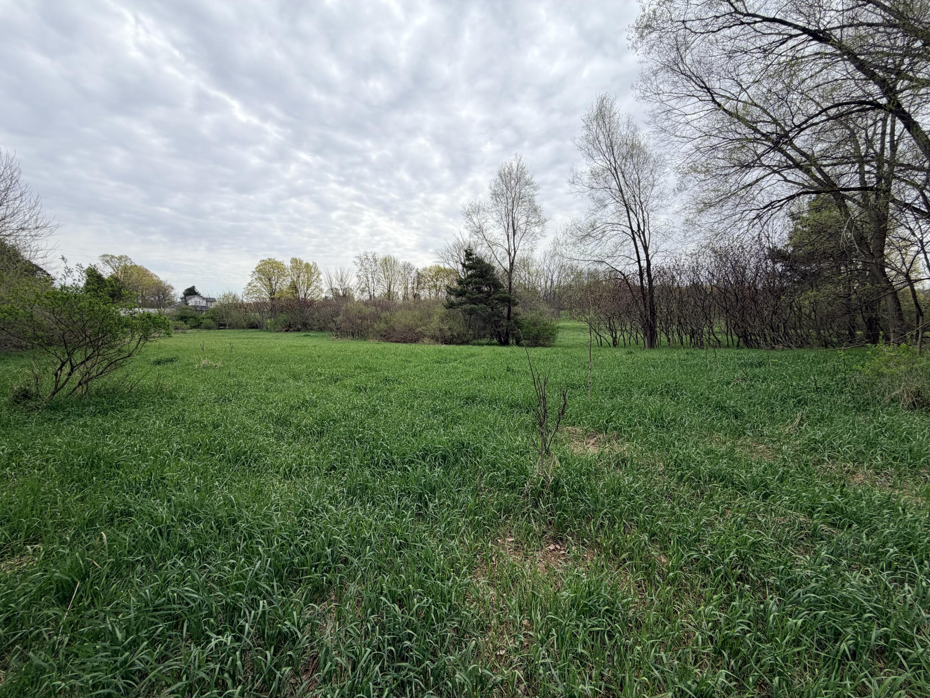 1734 East Wilson Road Custer, MI 49405 - Photo 6 of 24 1734 E Wilson Rd