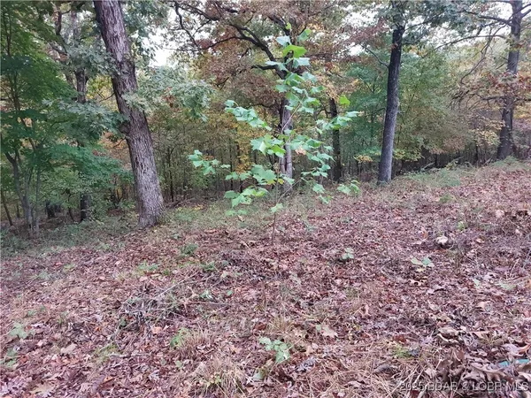 $70,000 | 34246 Rabbit Run Road, Stover, MO 65078