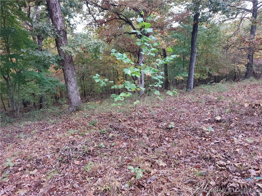 34246 Rabbit Run Road Stover, MO 65078 - Photo 16 of 17 Back yard is a blank canvass for your landscaping