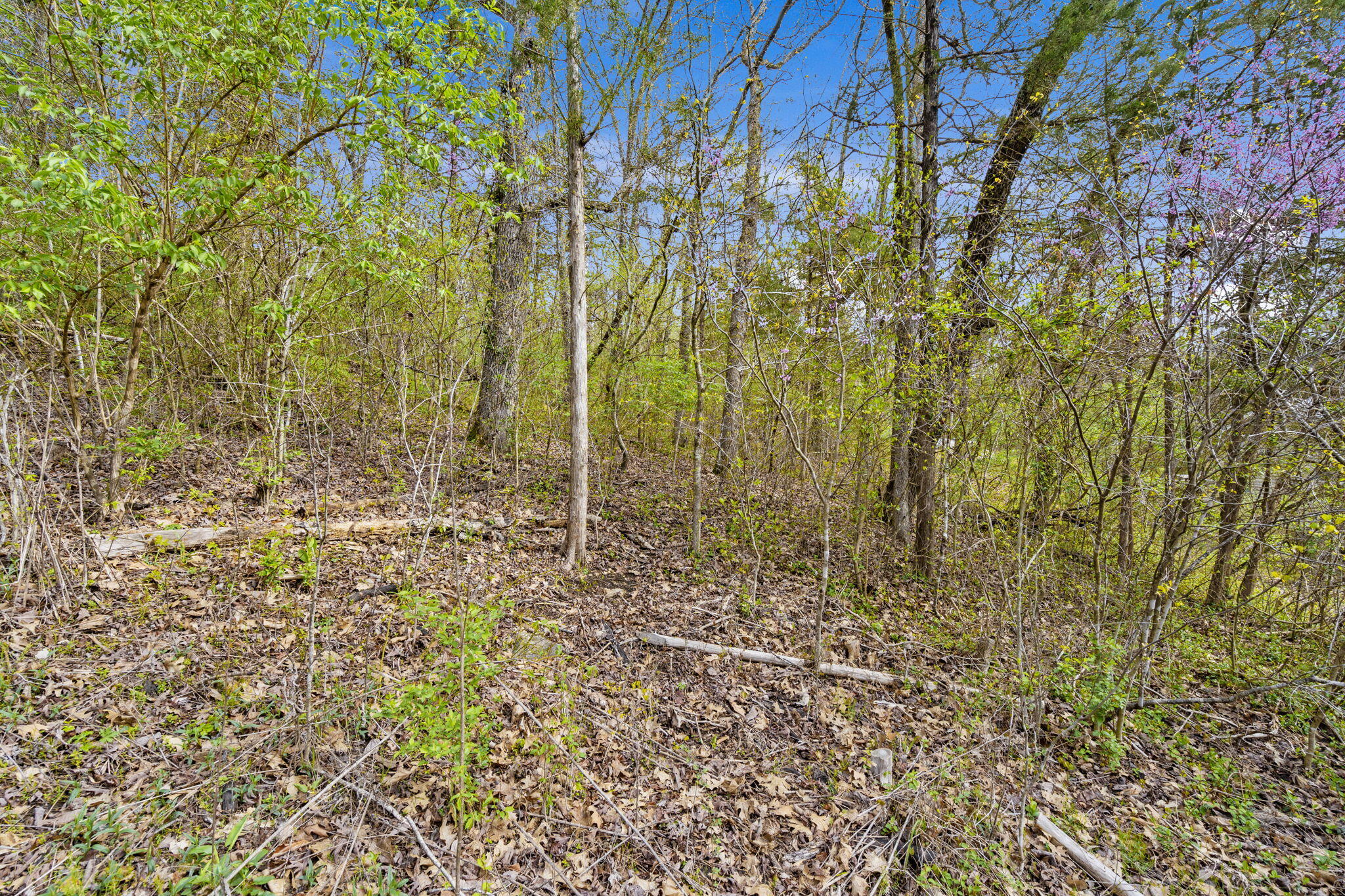 Lot 52 Richard Road Rockaway Beach, MO 65740 - Photo 5 of 42 Richard Road (1)