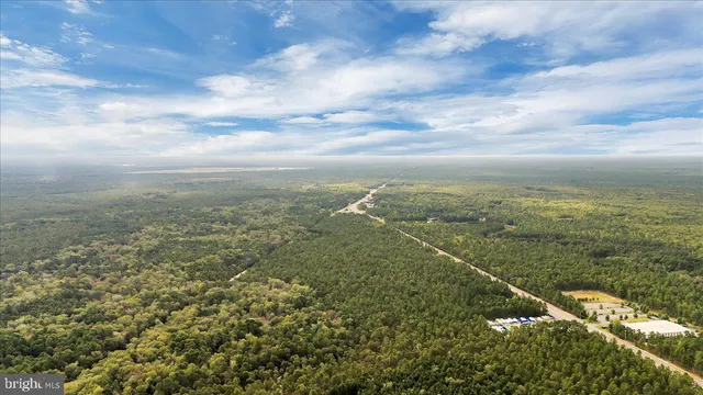a view of a field with an ocean