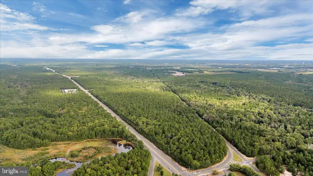 a view of a garden from a balcony