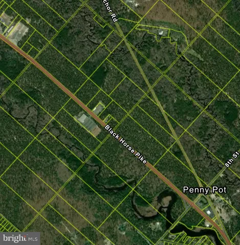 a close up of a potted plant