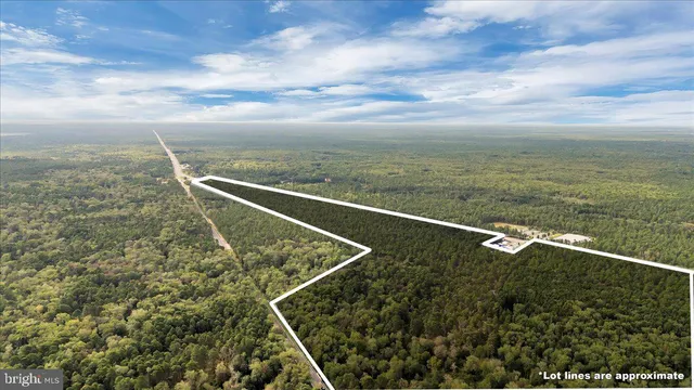 a view of a yard with furniture