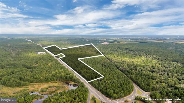 a view of a lake from a yard