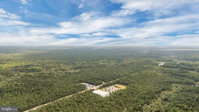 a view of a city from a yard