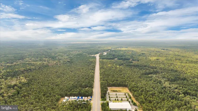 a view of a city with lots of trees