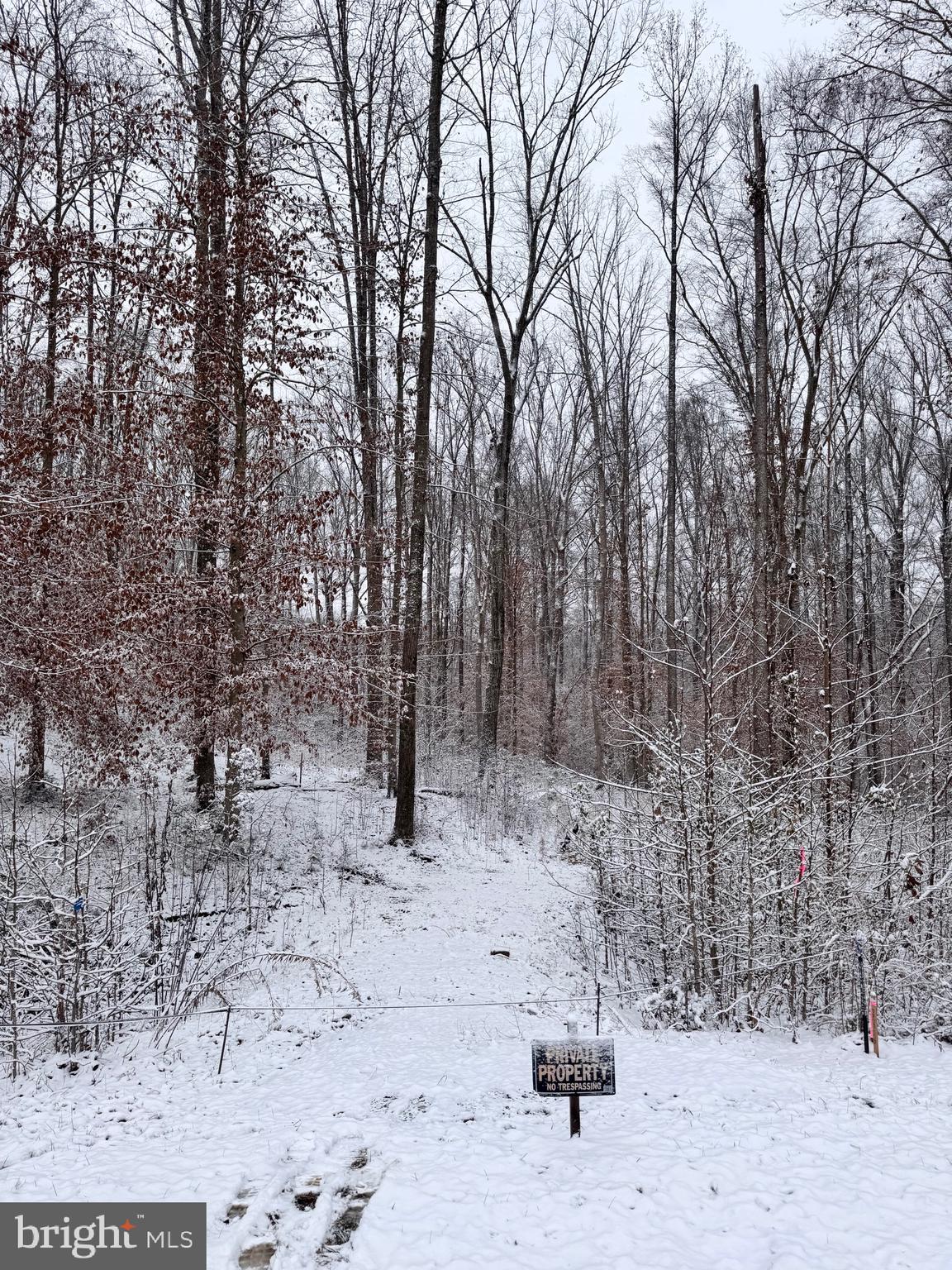 71 Alexandra Circle Bumpass, VA 23024 - Photo 2 of 20