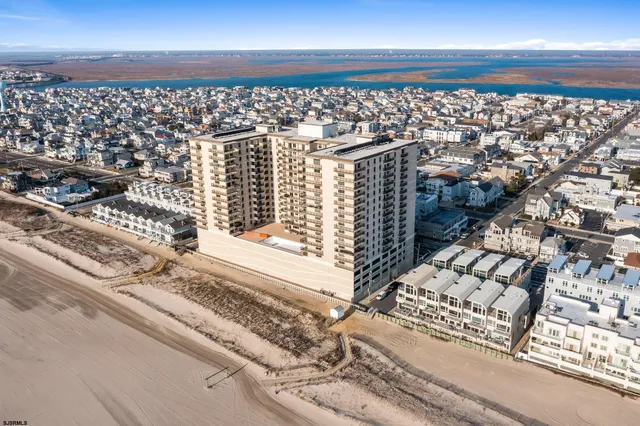 a view of a pathway with flower plants