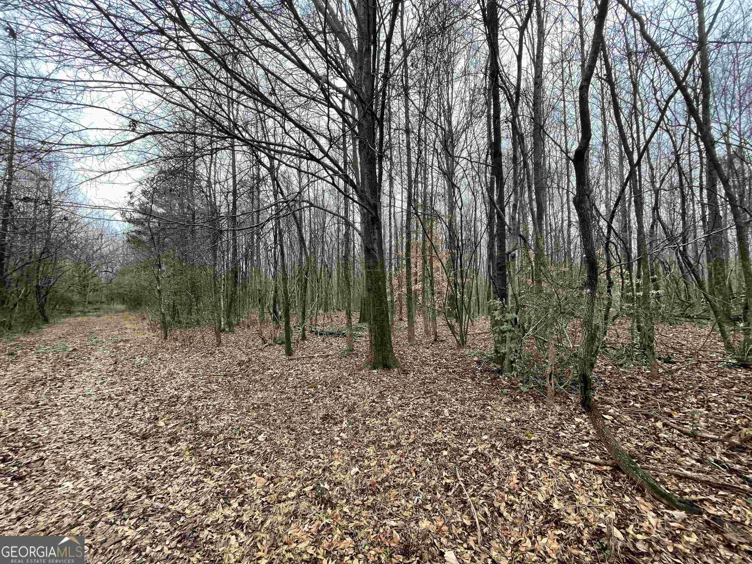 0 Holiness Campground Rd