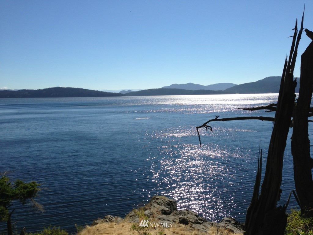 60 Rebe Road Orcas Island, WA 98280 - Photo 1 of 12 Gallery Image 1