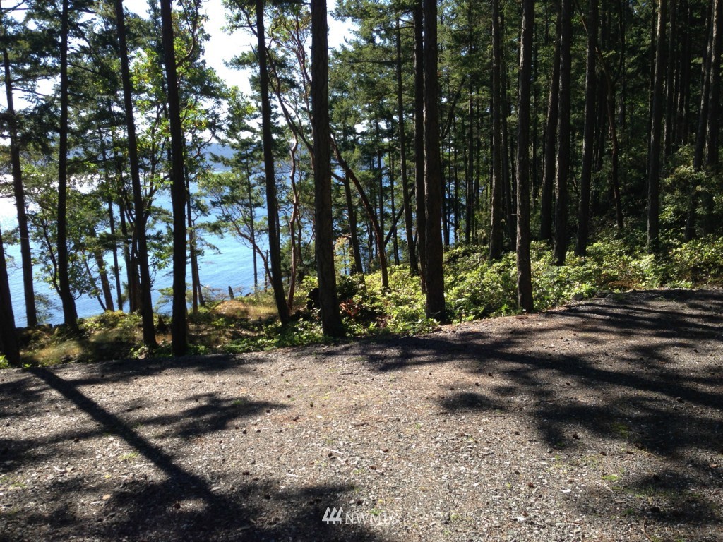 60 Rebe Road Orcas Island, WA 98280 - Photo 4 of 12 Gallery Image 4