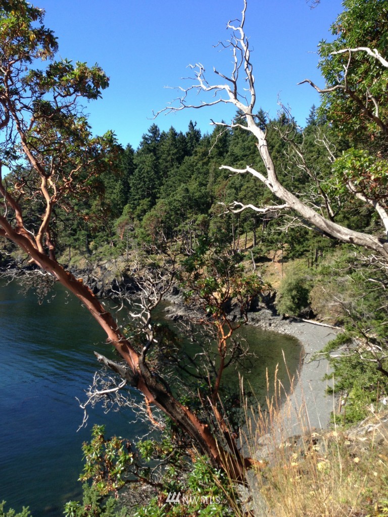 60 Rebe Road Orcas Island, WA 98280 - Photo 10 of 12 Gallery Image 10