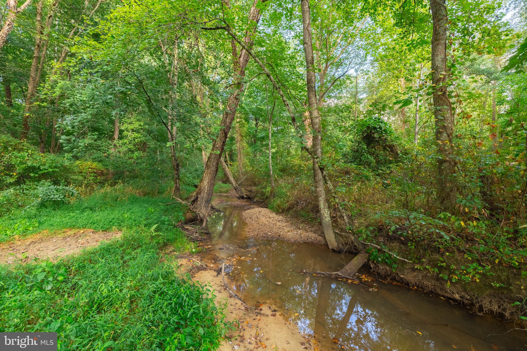 16310 Pleasant Mill Road Montpelier, VA 23192 - Photo 11 of 13