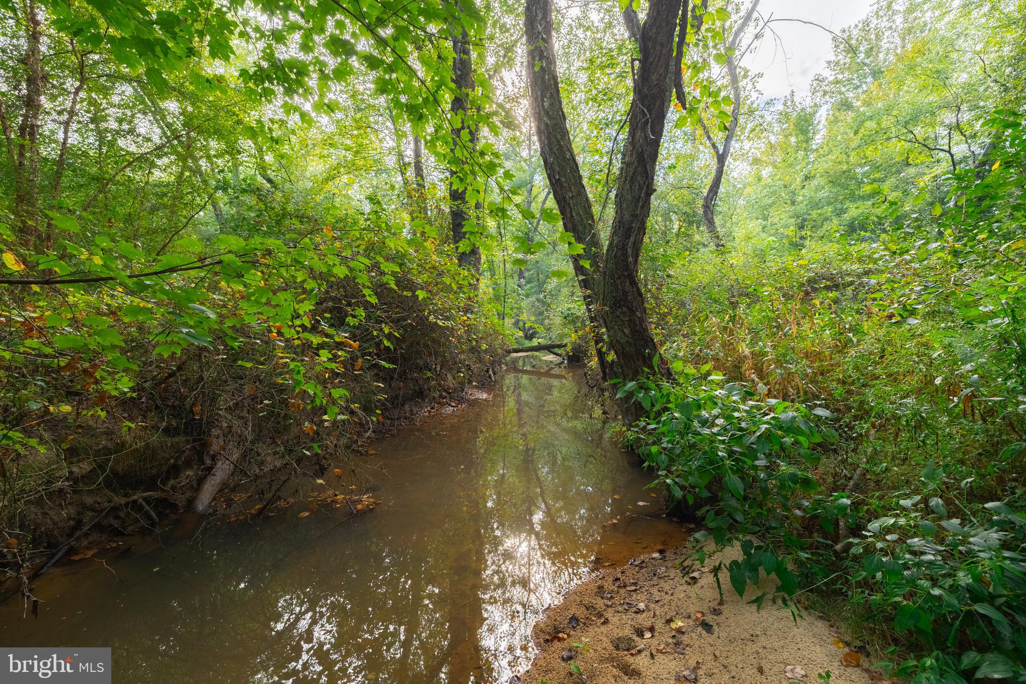 16310 Pleasant Mill Road Montpelier, VA 23192 - Photo 12 of 13 NEW FOUND RIVER