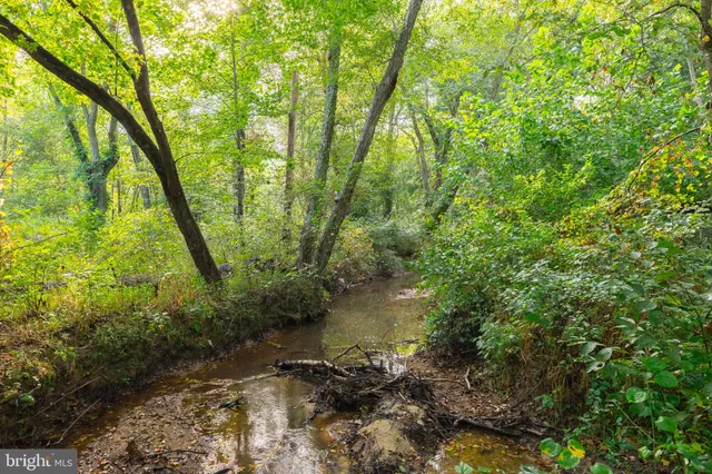 a view of a lake with large trees