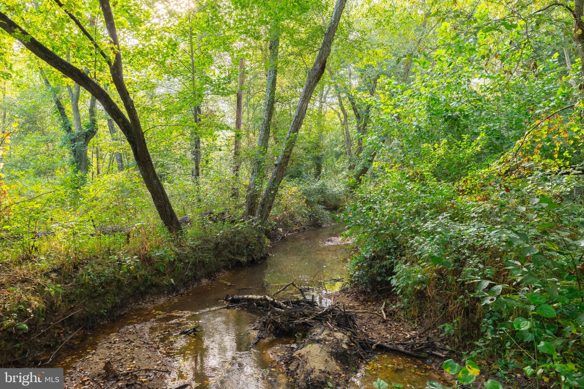 16310 Pleasant Mill Road Montpelier, VA 23192 - Photo 13 of 13