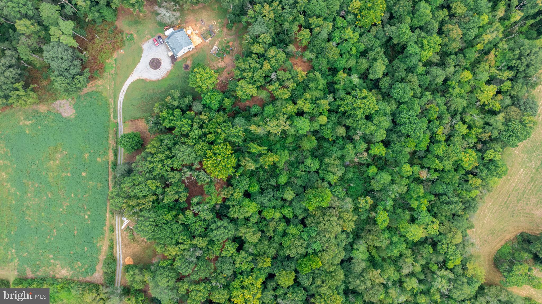 16310 Pleasant Mill Road Montpelier, VA 23192 - Photo 4 of 13