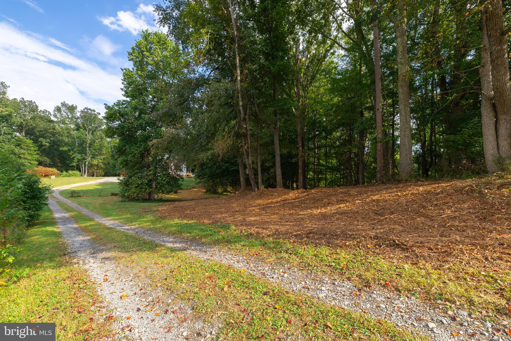 16310 Pleasant Mill Road Montpelier, VA 23192 - Photo 5 of 13 LOOKING DOWN SHARED DRIVE TO LOT ACCESS AT END