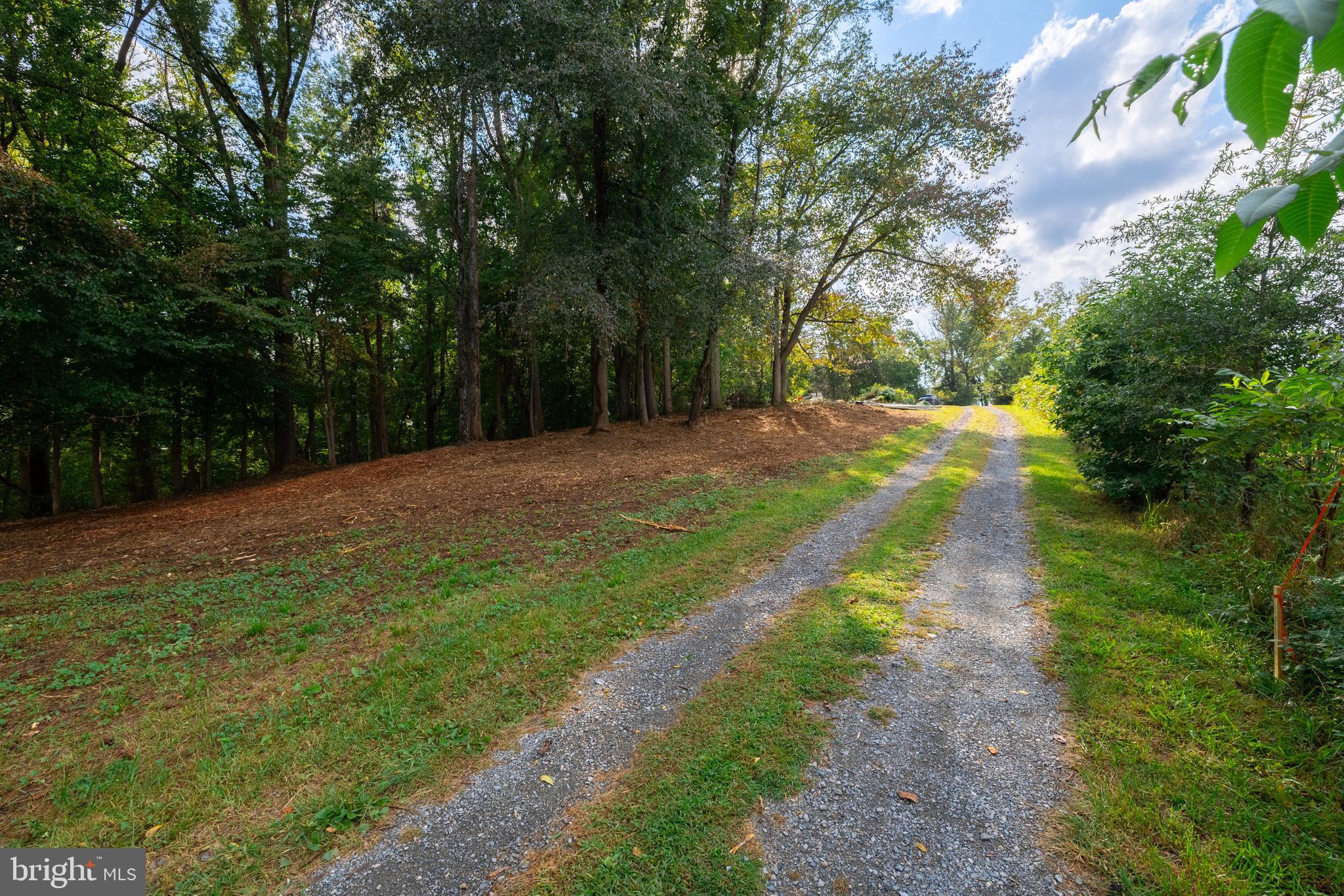 16310 Pleasant Mill Road Montpelier, VA 23192 - Photo 6 of 13 LOOKING BACK TOWARD MAIN ROAD