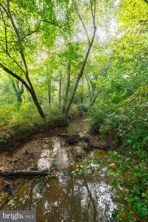 a view of a tree with a yard