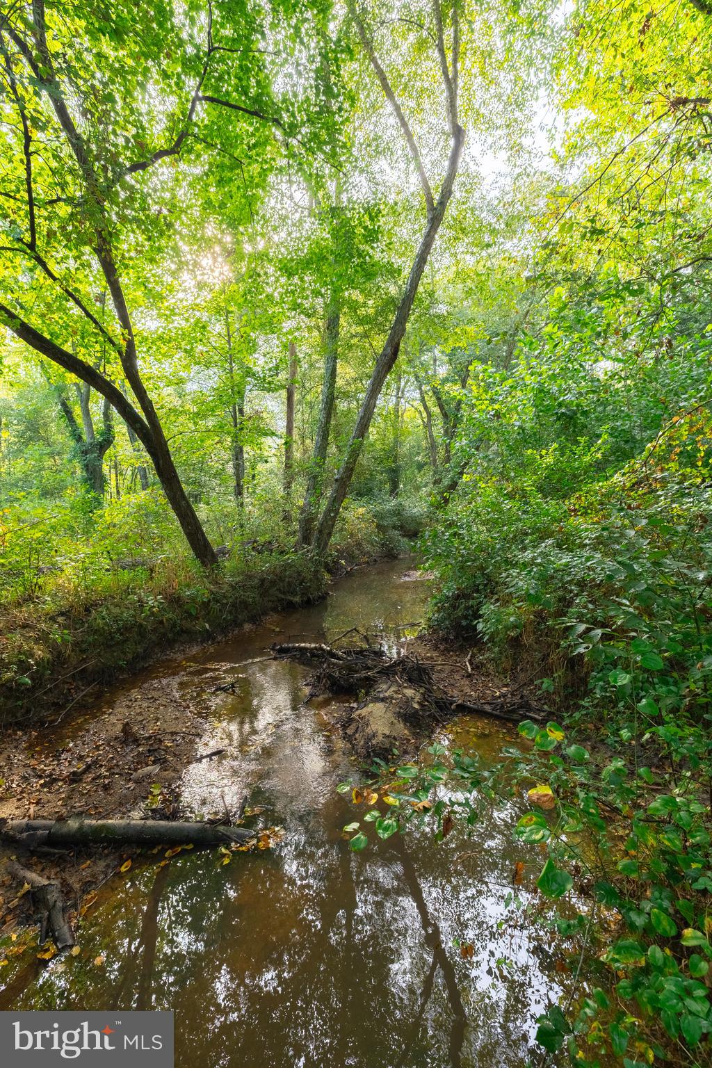 16310 Pleasant Mill Road Montpelier, VA 23192 - Photo 7 of 13