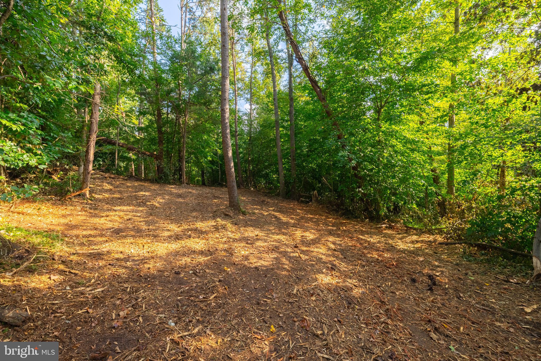 16310 Pleasant Mill Road Montpelier, VA 23192 - Photo 9 of 13 HOME SITE CLEARED