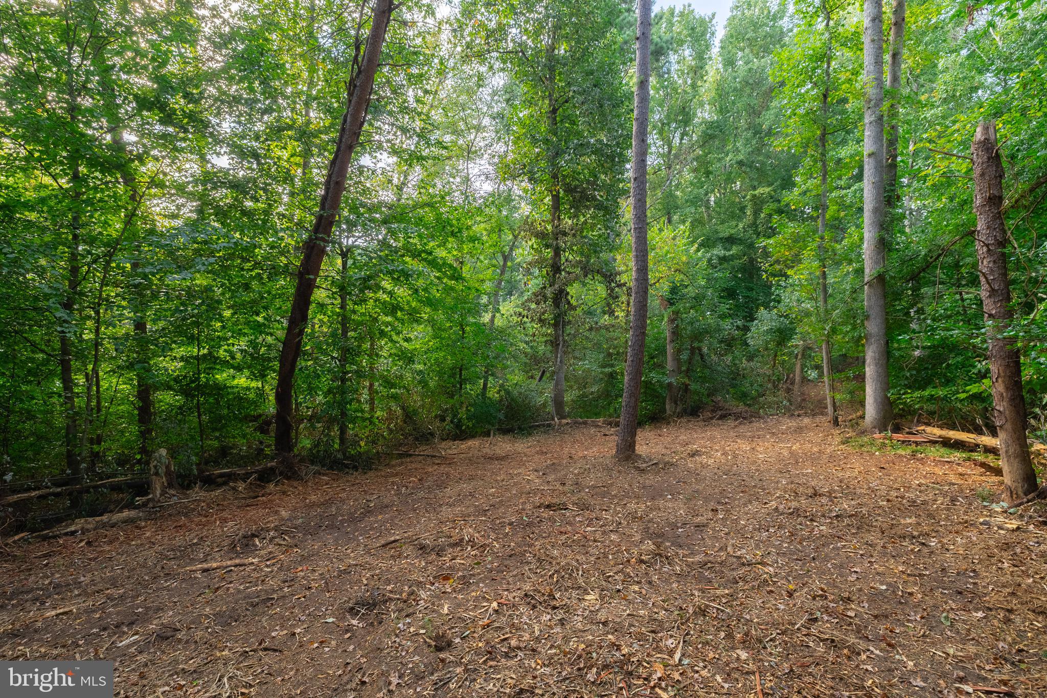 16310 Pleasant Mill Road Montpelier, VA 23192 - Photo 10 of 13 HOME SITE AREA CLEARED