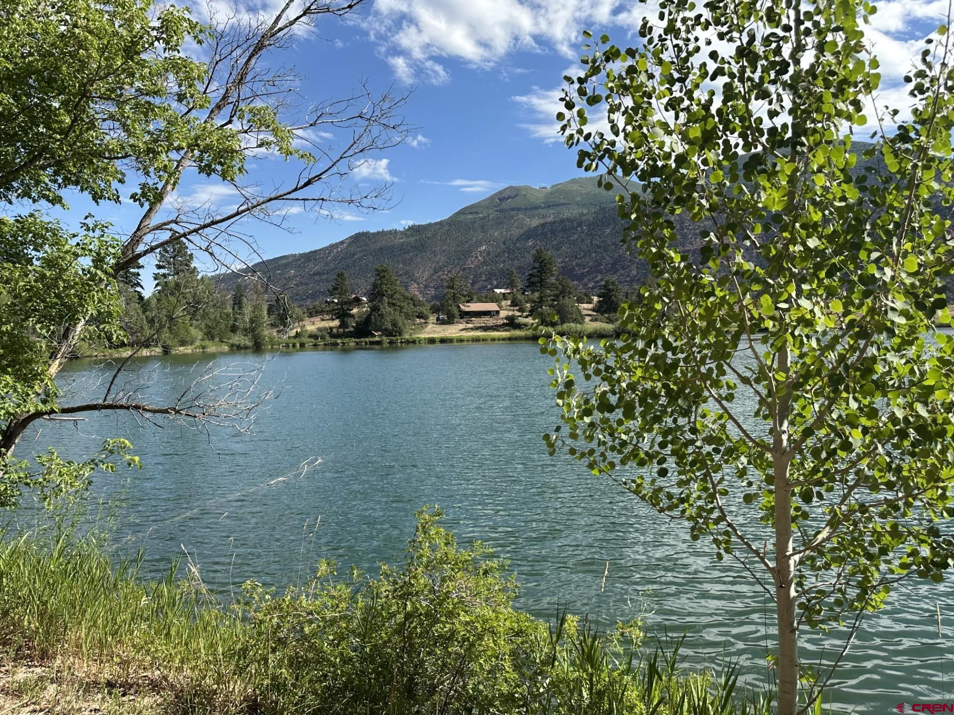 2871 County Road Ridgway, CO 81432 - Photo 5 of 44