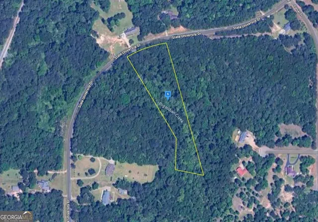 a view of a yard with large trees