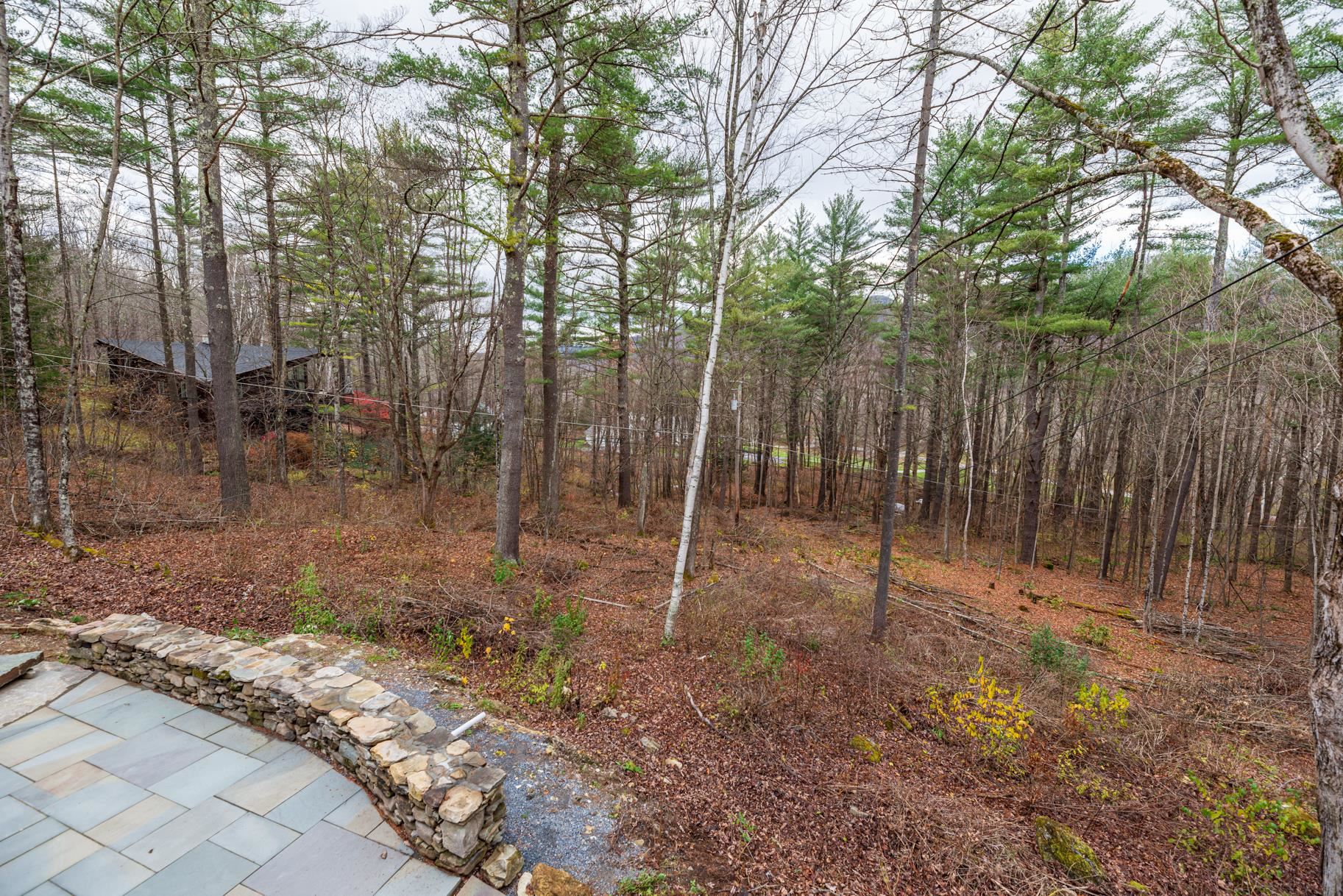 313 McNamara Road Dorset, VT 05251 - Photo 24 of 36 Gallery Image 24