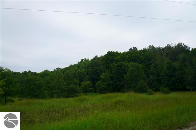 7872 Kellogg Road Northwest Alden, MI 49612 - Photo 4 of 22 1728345-3.JPG