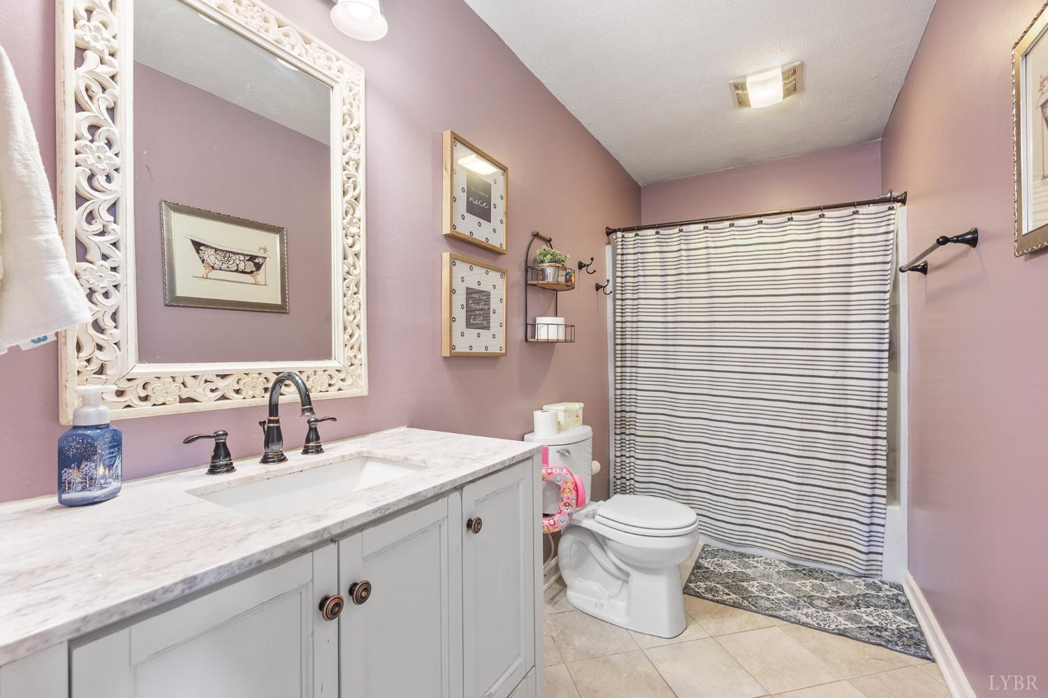 360 Webster Drive Concord, VA 24538 - Photo 18 of 36 a bathroom with a sink a toilet a shower and a mirror