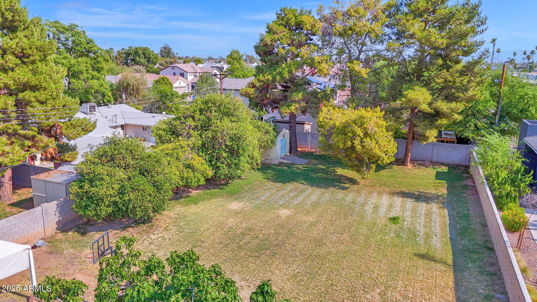 3217 East Flower Street Phoenix, AZ 85018 - Photo 43 of 60 a view of a garden with plants