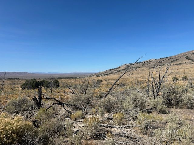 Moor Road Wells, NV 89835 - Photo 5 of 5
