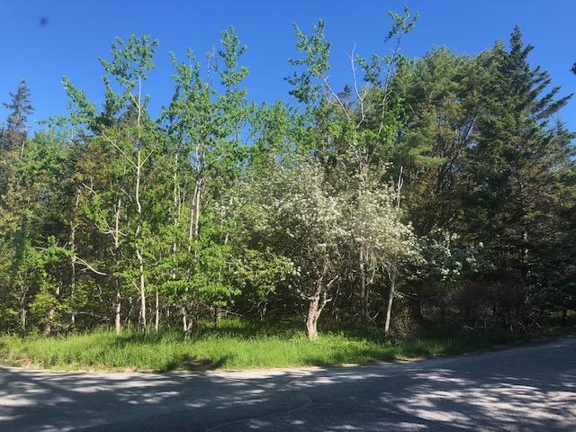 0 Naskeag Point Road Brooklin, ME 04616 - Photo 3 of 8 IMG_4117