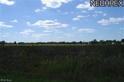 Baird Road Oberlin, OH 44074 - Photo 1 of 2 Build your dream home here!
