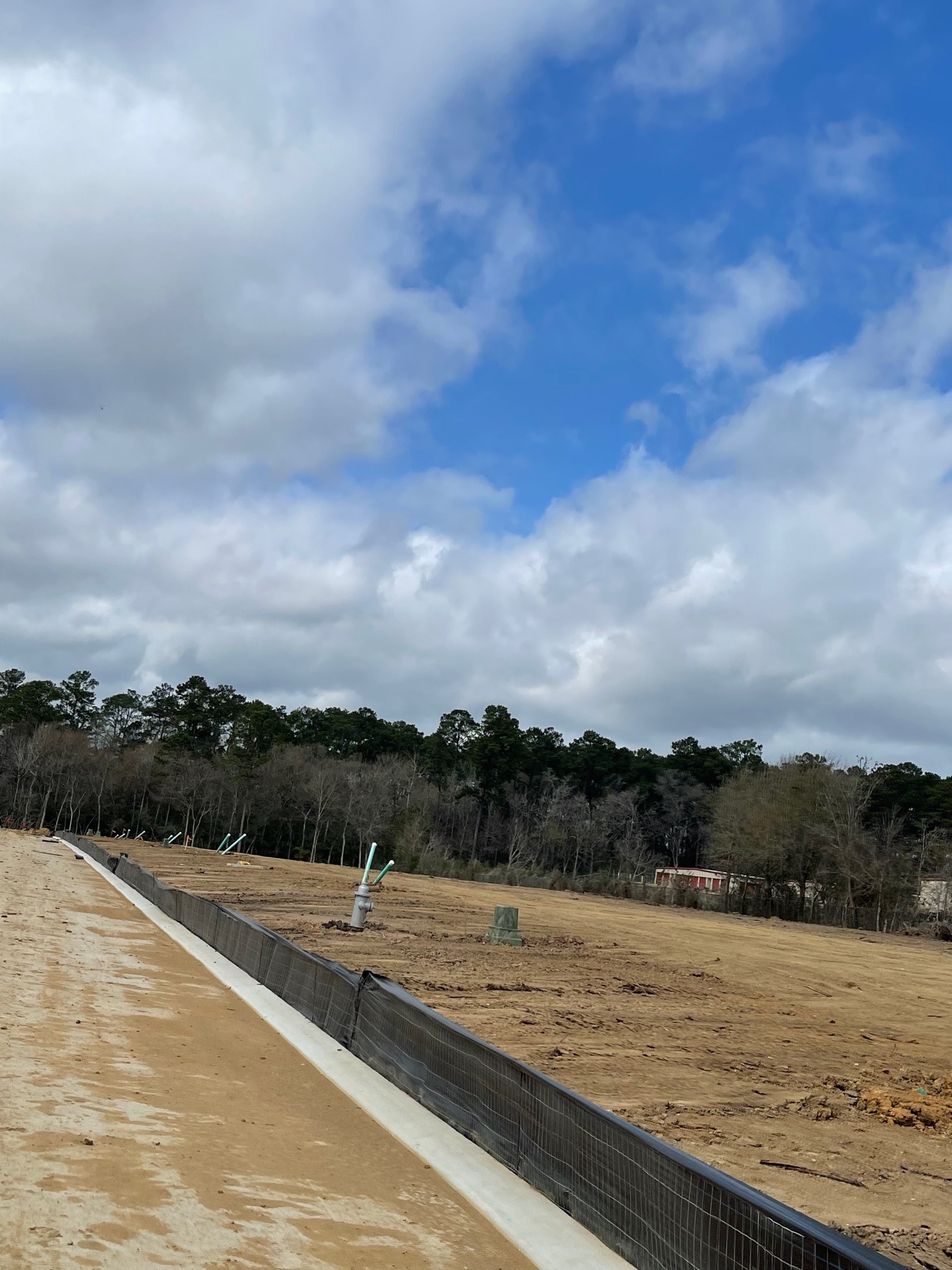 12140 Ruffian Drive Willis, TX 77378 - Photo 4 of 7